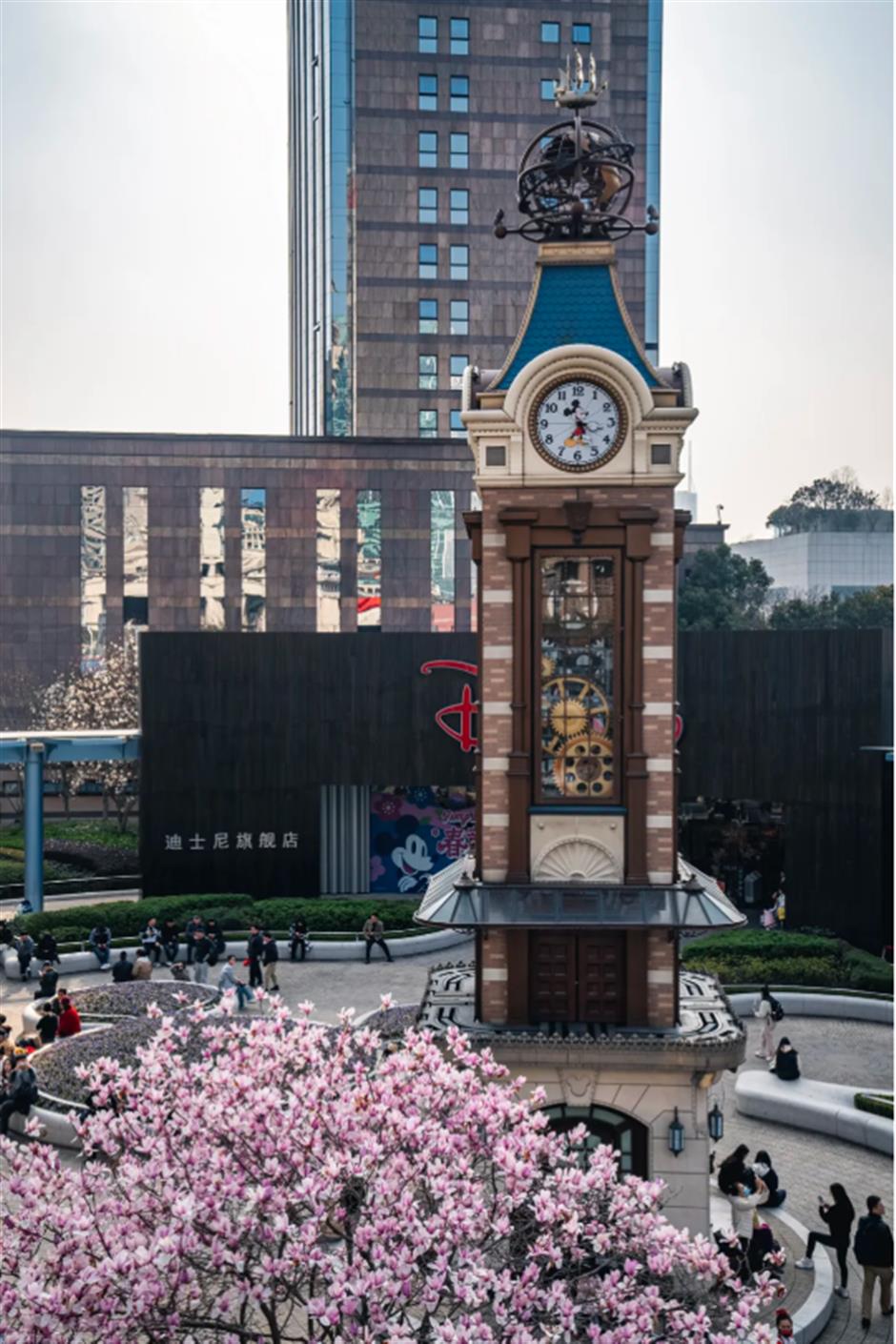 錯過等一年的春日限定機位!魔都四件套下的玉蘭花開了→