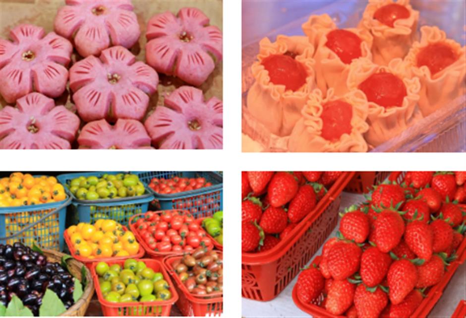 春天来到上海！
在这个免费入场的江南水乡，
一口气感受春天的清新。