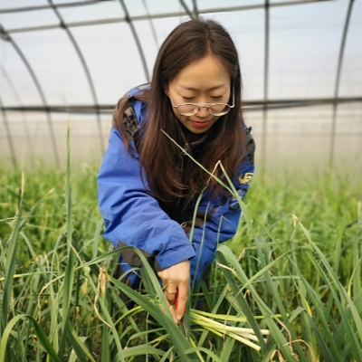 Women exhibit their strength in different trades