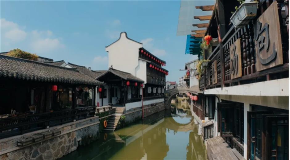 春天来到上海！
在这个免费入场的江南水乡，
一口气感受春天的清新。