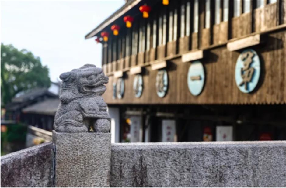 春天来到上海！
在这个免费入场的江南水乡，
一口气感受春天的清新。