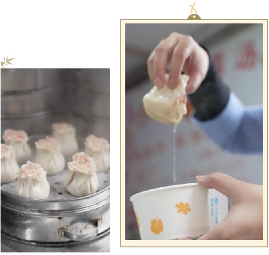 春天来到上海！
在这个免费入场的江南水乡，
一口气感受春天的清新。