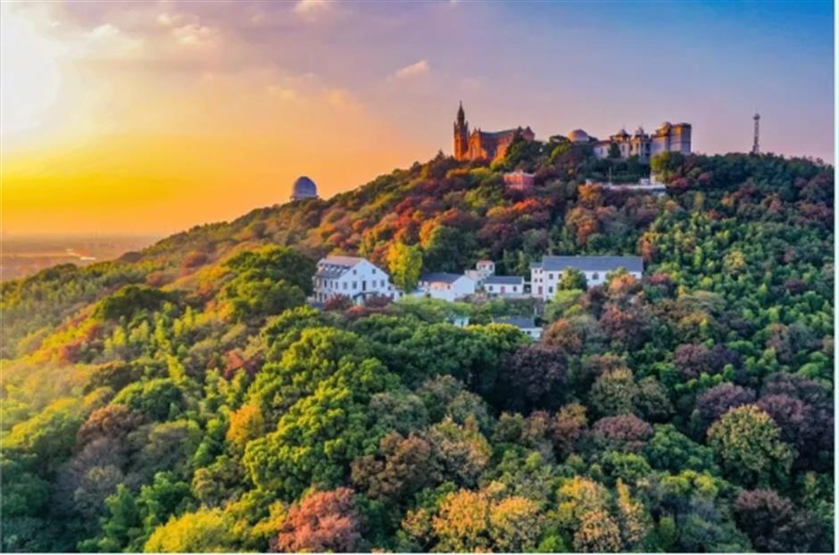 入境游客减免!高端酒店套餐!这个山林胜地打造国际游客友好体验