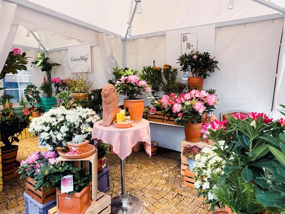 停不下來!這波春日快閃市集太好逛了