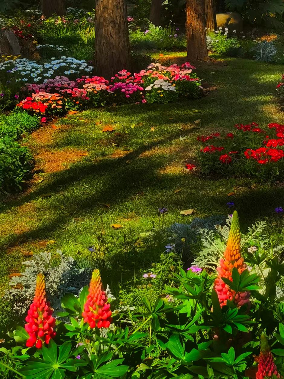 Shanghai's floral extravaganza is a fusion of nature and art