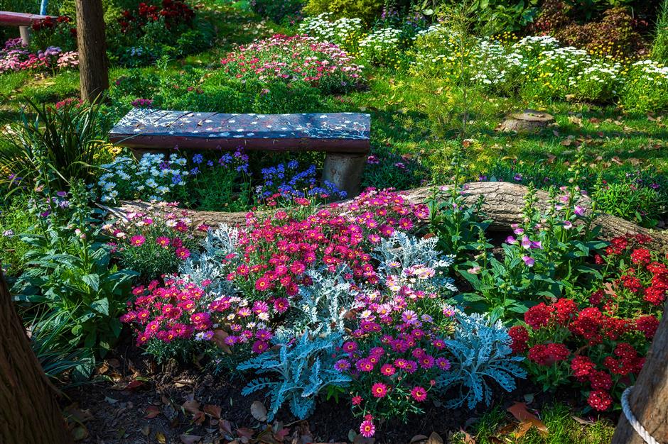 Shanghai's floral extravaganza is a fusion of nature and art