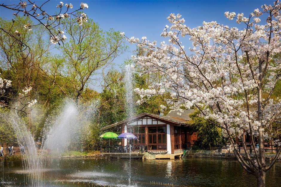 Shanghai's floral extravaganza is a fusion of nature and art