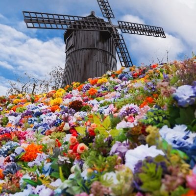 Shanghai's floral extravaganza is a fusion of nature and art