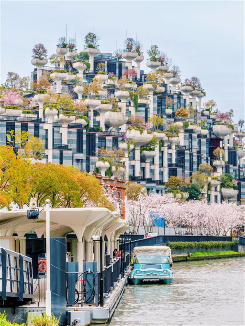 春日顶流!这些赏樱活动错过又要等一年!