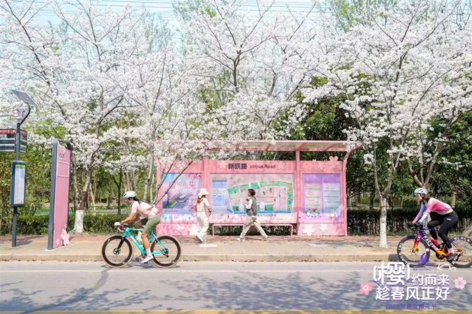 春日顶流!这些赏樱活动错过又要等一年!