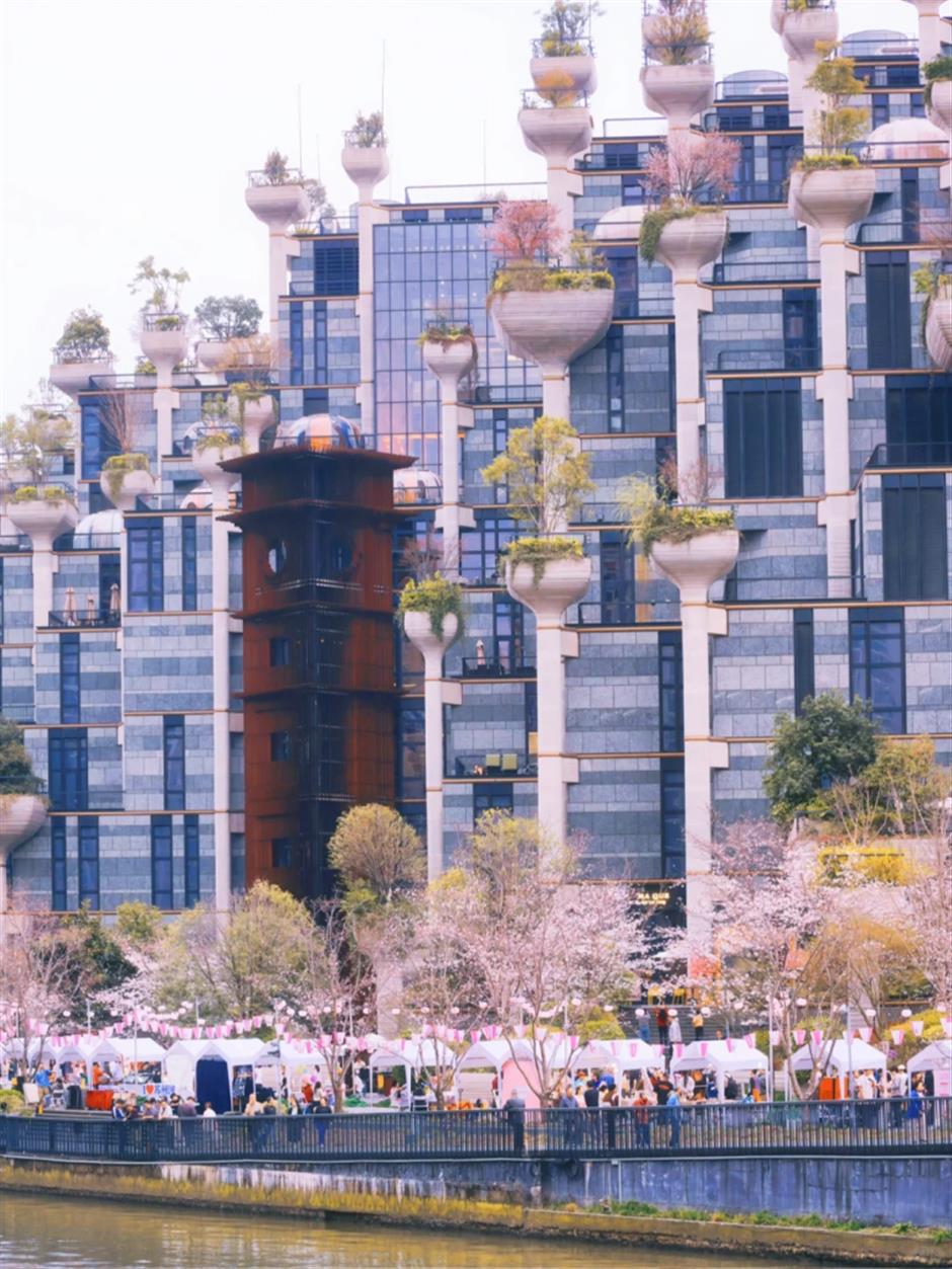 春日顶流!这些赏樱活动错过又要等一年!