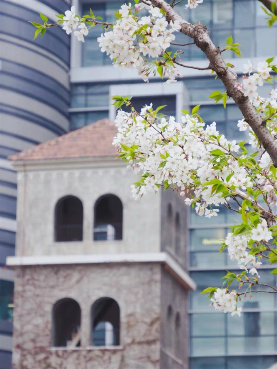 春日顶流!这些赏樱活动错过又要等一年!