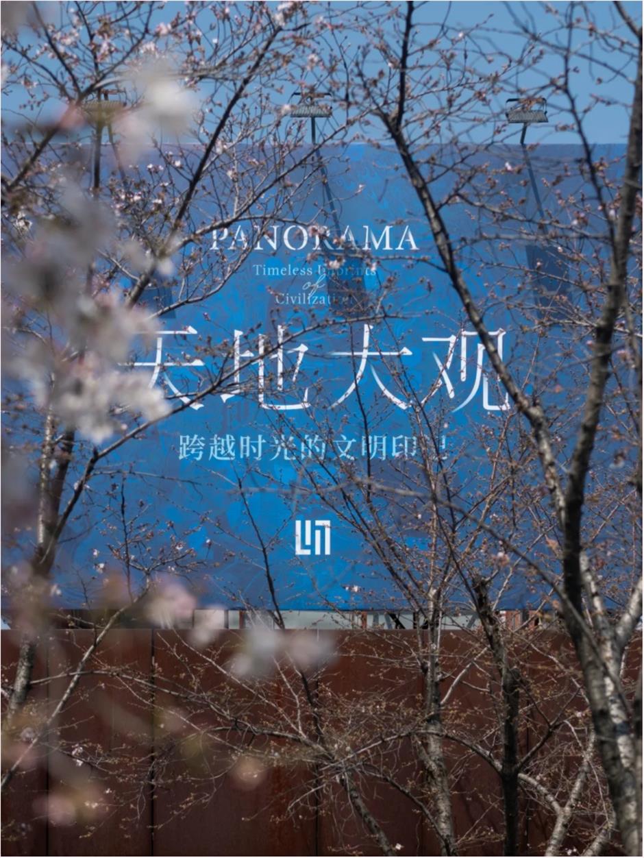 盛花期!倒计时!上海1200米绝美樱花大道打卡指南