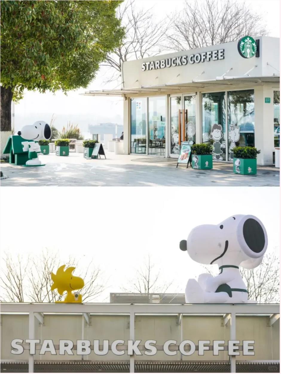 盛花期!倒计时!上海1200米绝美樱花大道打卡指南