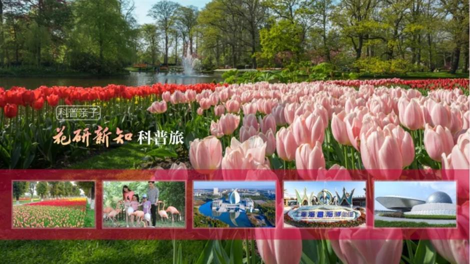 桃花节来了!解锁七大沉浸式赏花主题线路