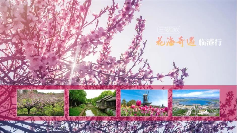 桃花节来了!解锁七大沉浸式赏花主题线路