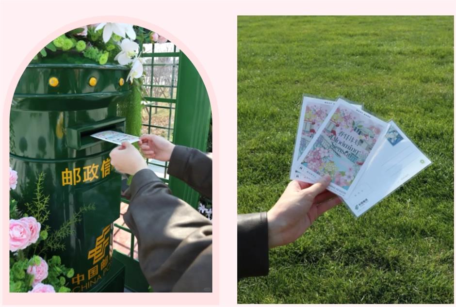 盛花期!倒计时!上海1200米绝美樱花大道打卡指南