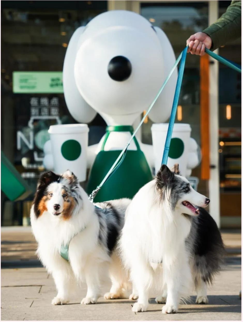 盛花期!倒计时!上海1200米绝美樱花大道打卡指南