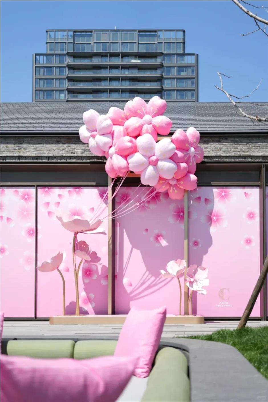 盛花期!倒计时!上海1200米绝美樱花大道打卡指南