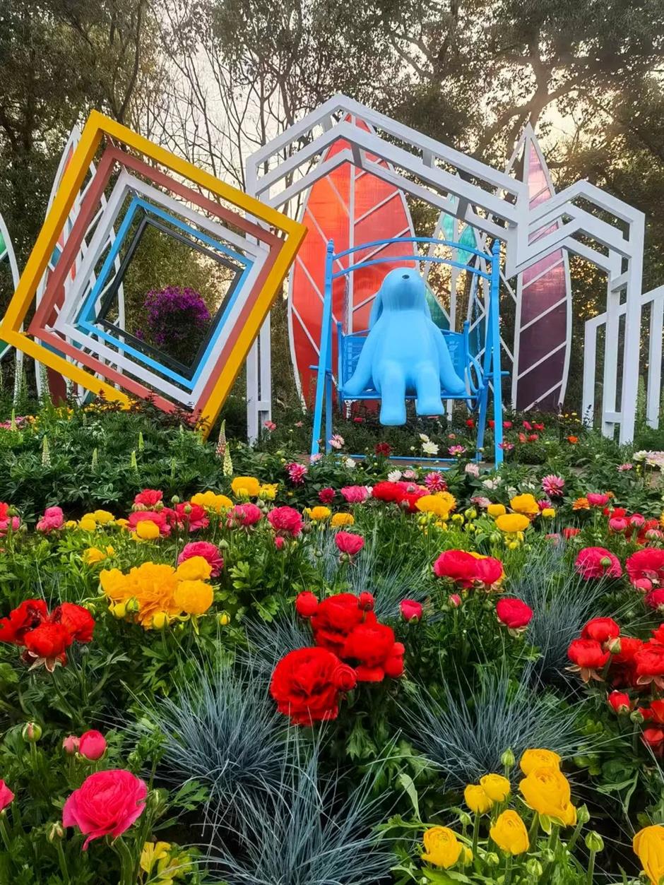 超美!上海的「莫奈花園」扎堆上分