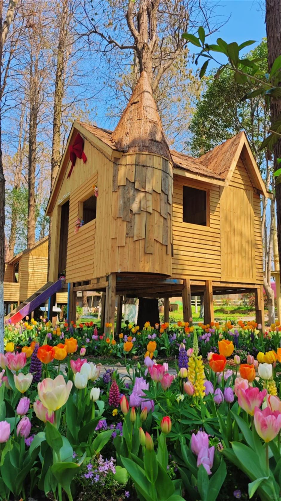 超美!上海的「莫奈花園」扎堆上分