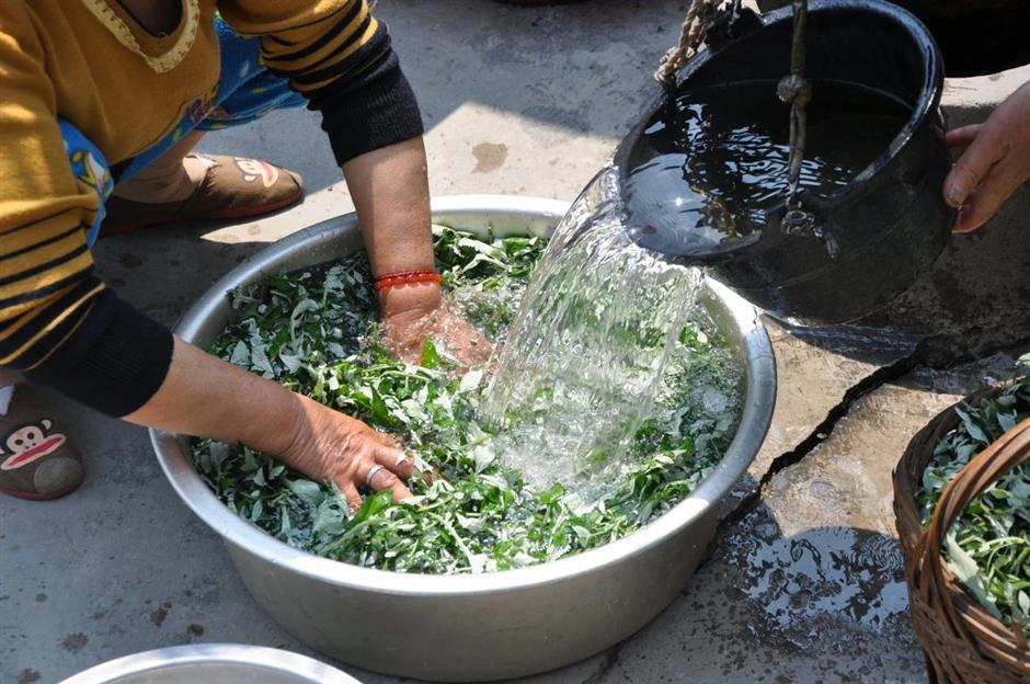 当季限定,满口春天的味道!品庄行青团,享菜花节美好