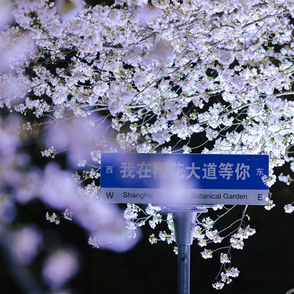 限時!上海這些夜間美景,別錯過!