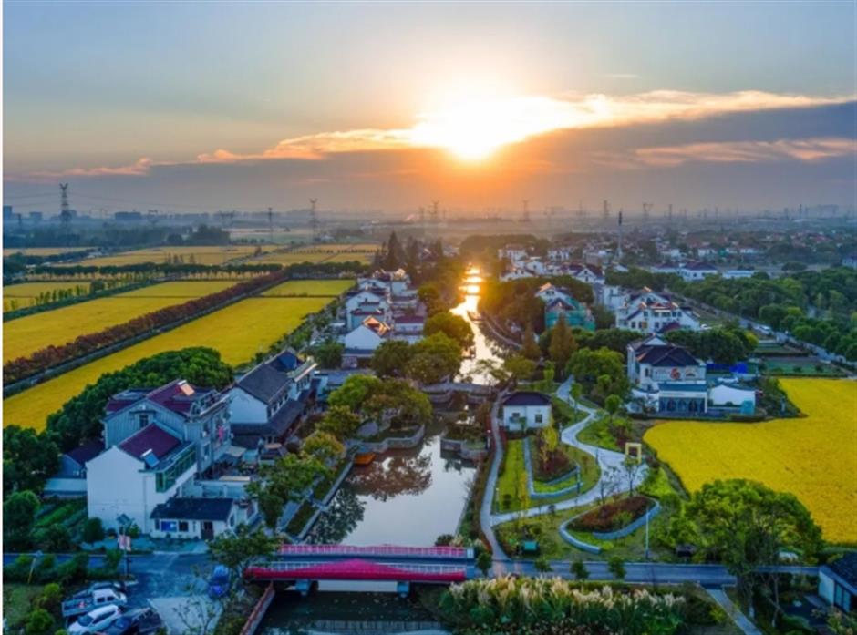 國家級推介!上海兩條入選,春遊正當時!