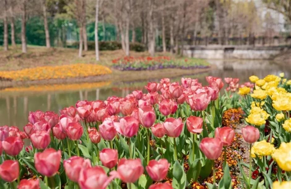 國家級推介!上海兩條入選,春遊正當時!