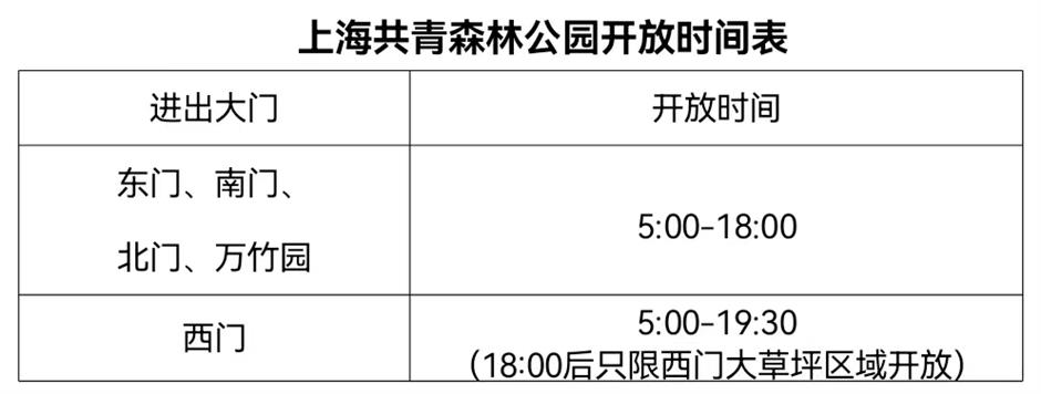 不是普罗旺斯是上海!这个免费公园有片30000㎡紫色花海→