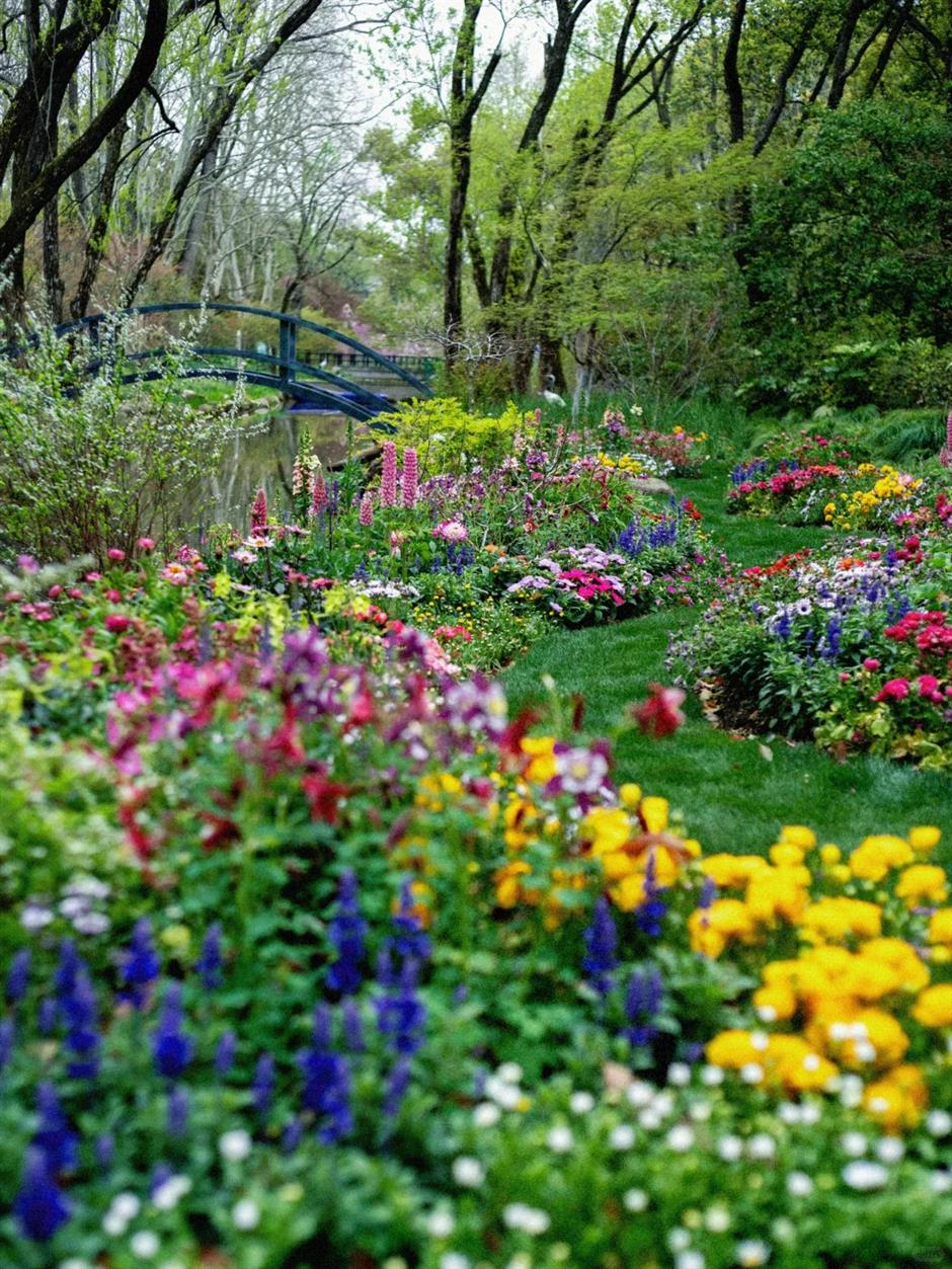 不是普罗旺斯是上海!这个免费公园有片30000㎡紫色花海→