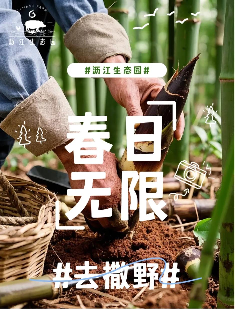 挖挖挖!三大「野區」限時開放,快來「打野」