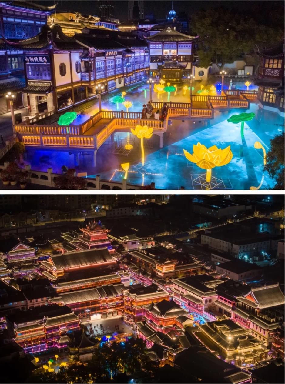 踏青赏花正当时!上海各区春日花事卷起来了