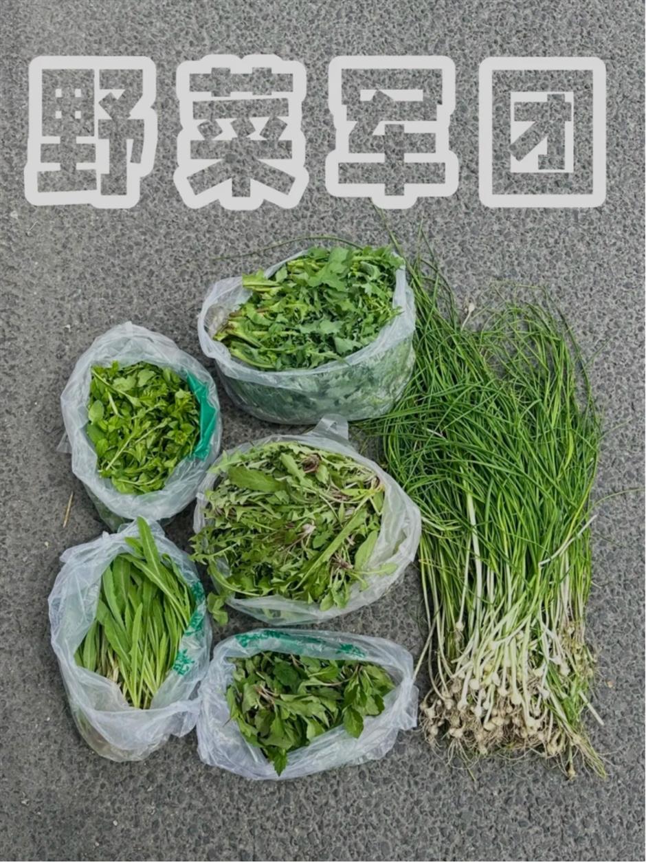 挖挖挖!三大「野區」限時開放,快來「打野」