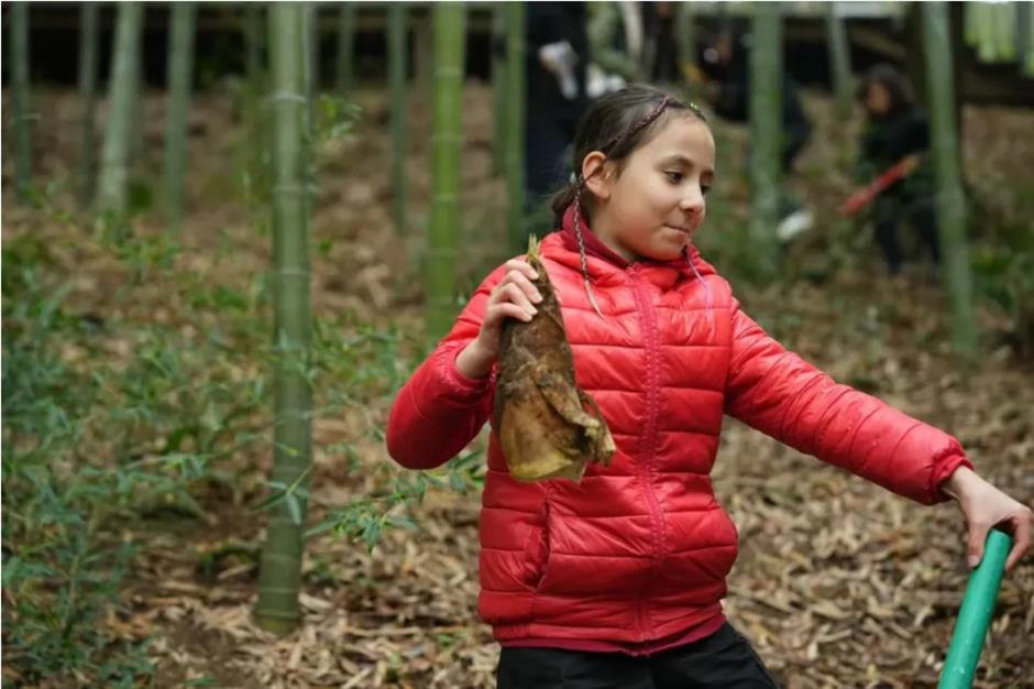 挖挖挖!三大「野區」限時開放,快來「打野」