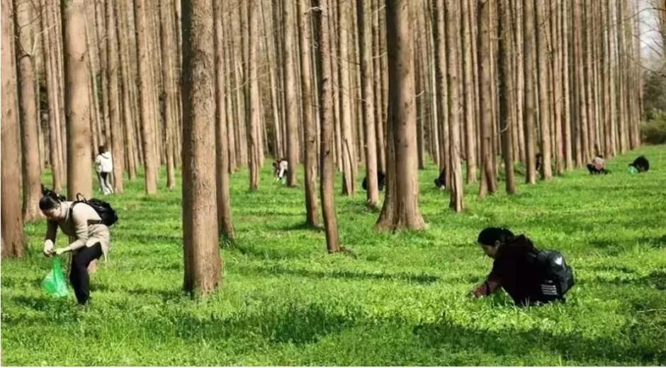 挖挖挖!三大「野區」限時開放,快來「打野」