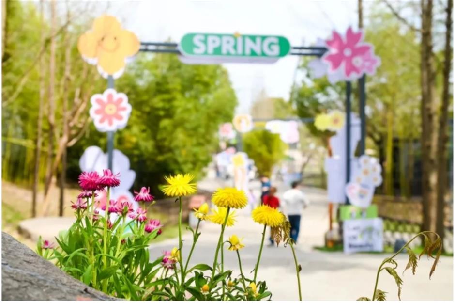 上海這個春日限定秘境藏不住了!坐在花海裡品茶、喝咖啡