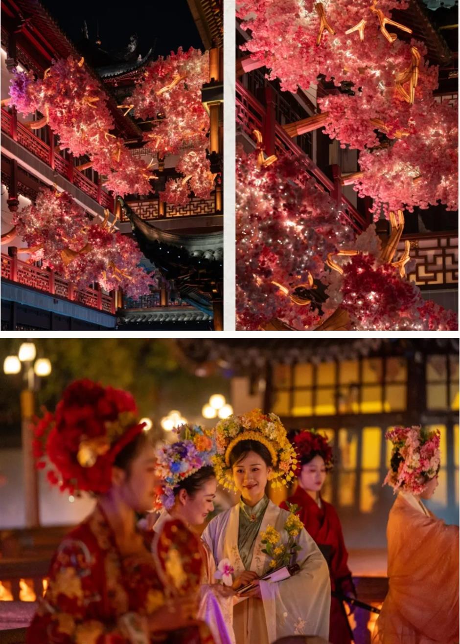 踏青赏花正当时!上海各区春日花事卷起来了