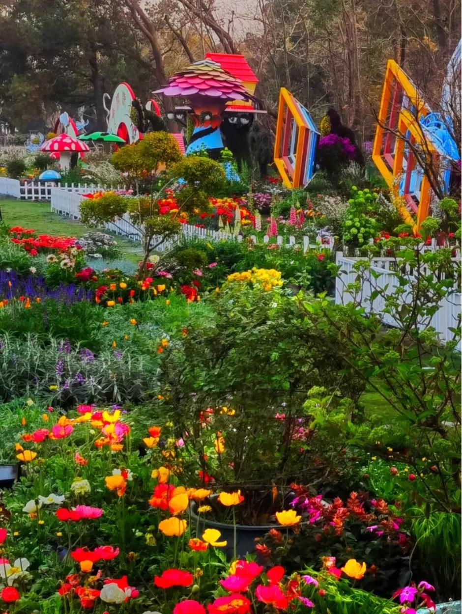 踏青赏花正当时!上海各区春日花事卷起来了
