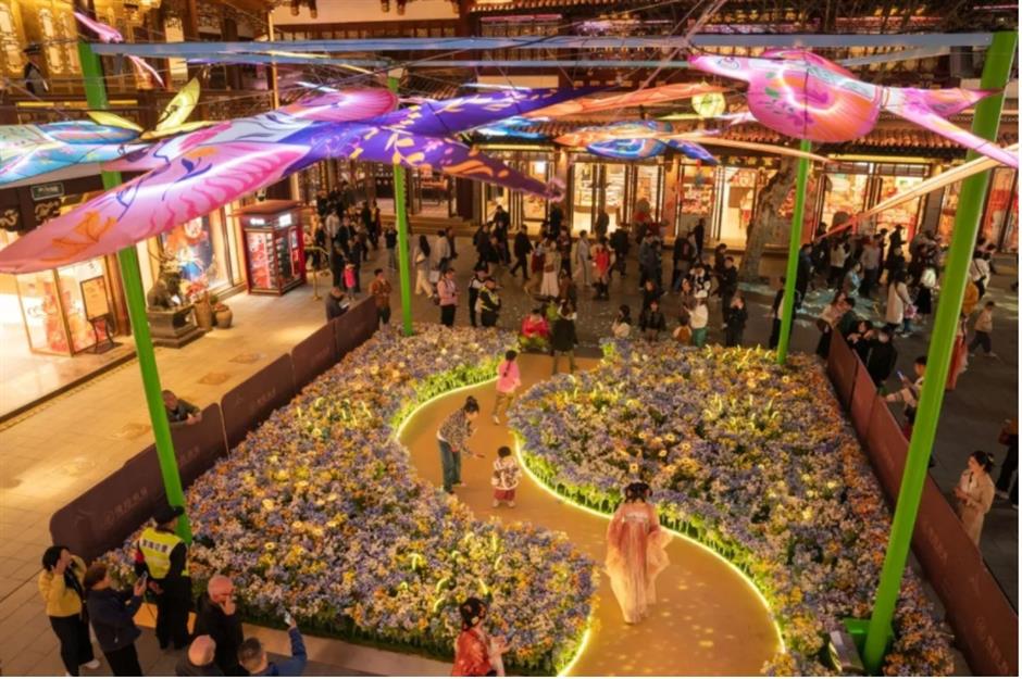 踏青赏花正当时!上海各区春日花事卷起来了