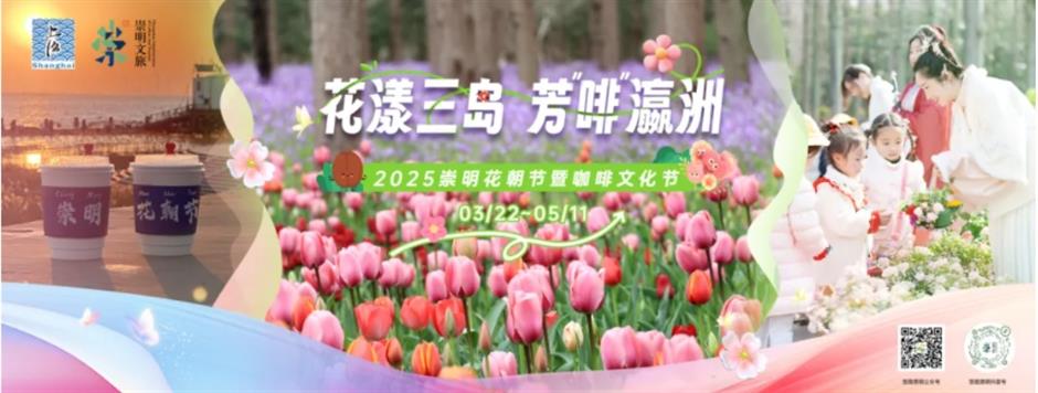 踏青赏花正当时!上海各区春日花事卷起来了