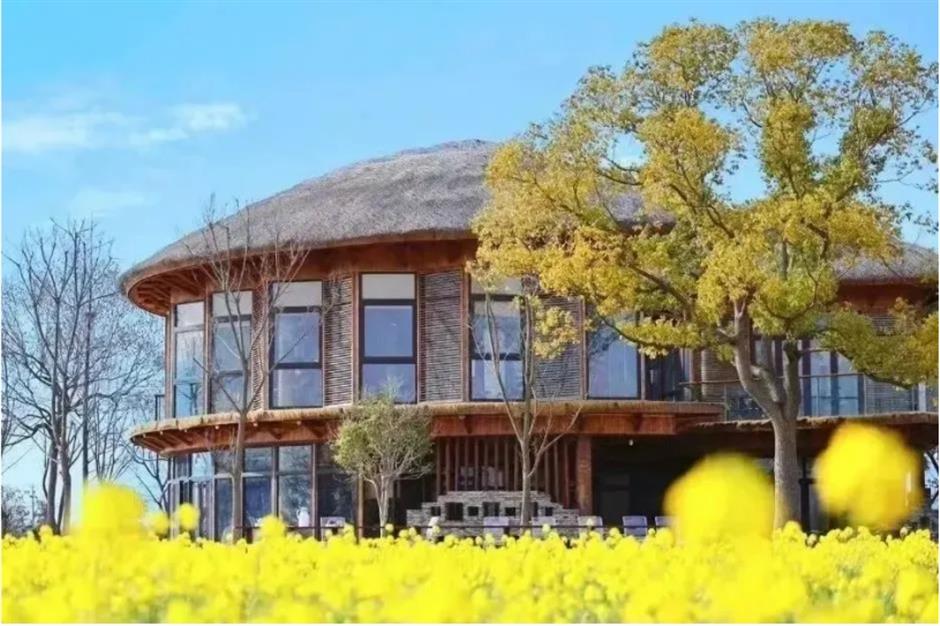 上海這個春日限定秘境藏不住了!坐在花海裡品茶、喝咖啡