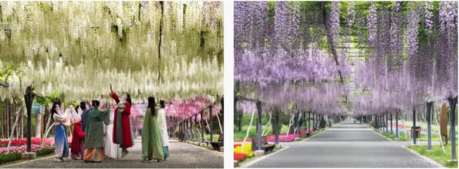 挖挖挖!三大「野區」限時開放,快來「打野」