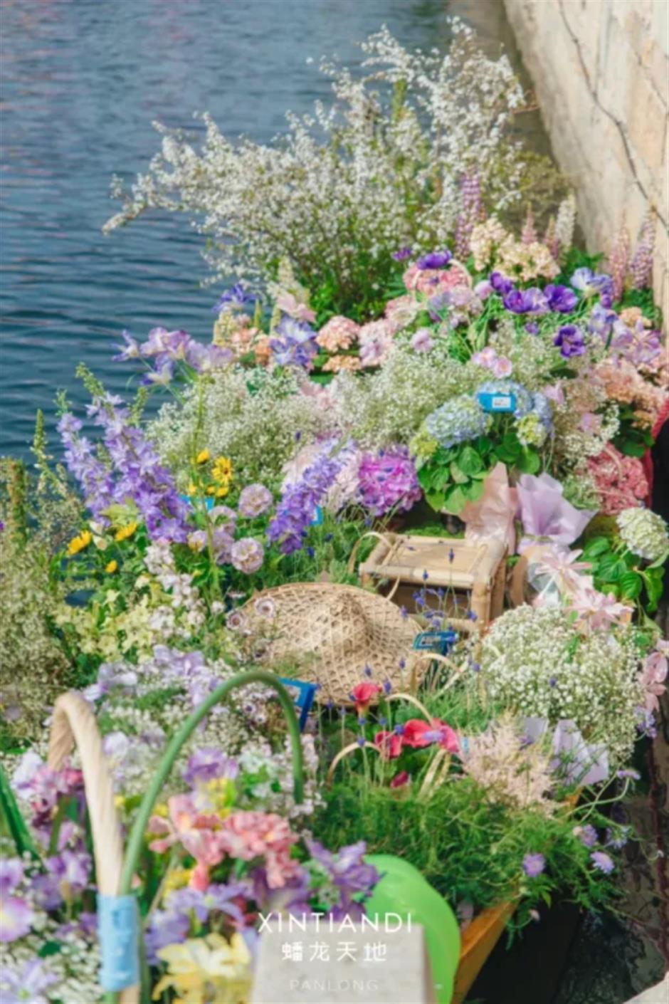踏青赏花正当时!上海各区春日花事卷起来了