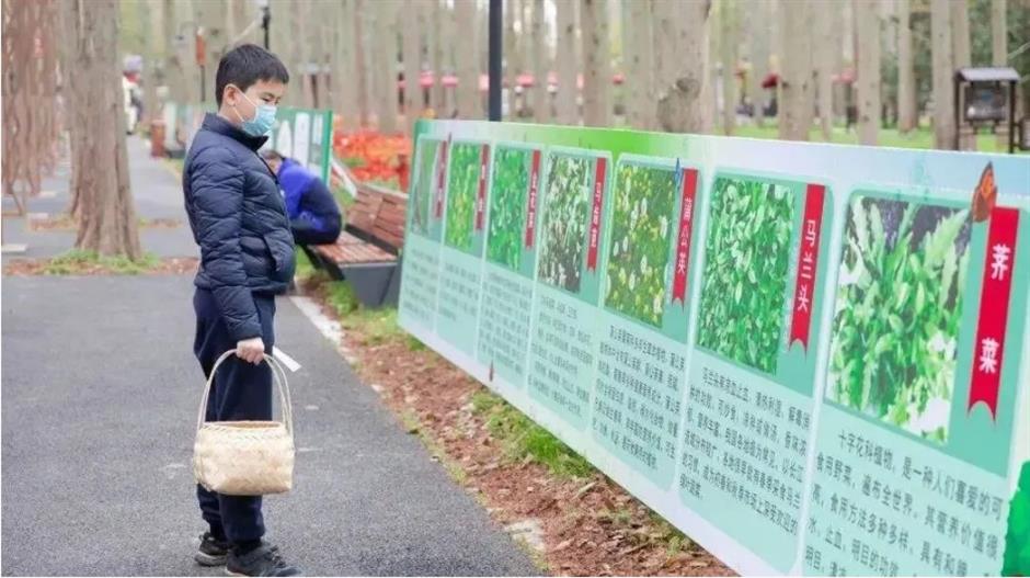 挖挖挖!三大「野區」限時開放,快來「打野」