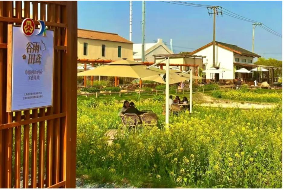 上海這個春日限定秘境藏不住了!坐在花海裡品茶、喝咖啡