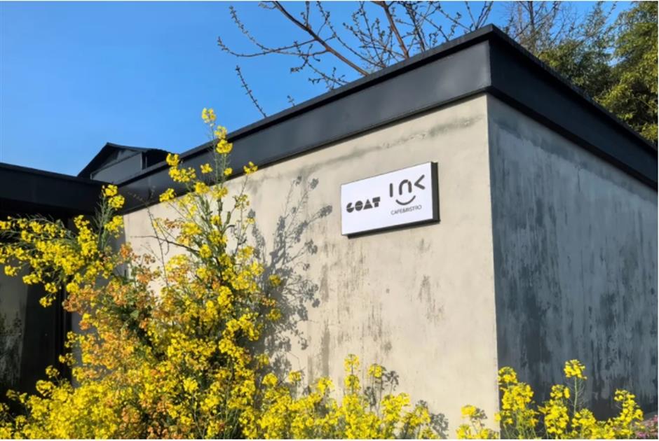 上海這個春日限定秘境藏不住了!坐在花海裡品茶、喝咖啡