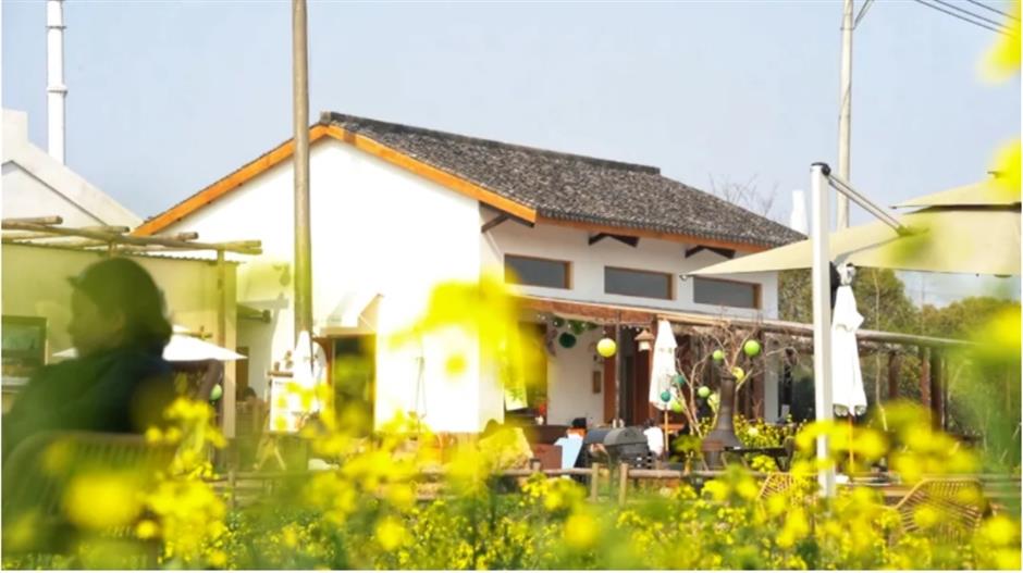 上海這個春日限定秘境藏不住了!坐在花海裡品茶、喝咖啡