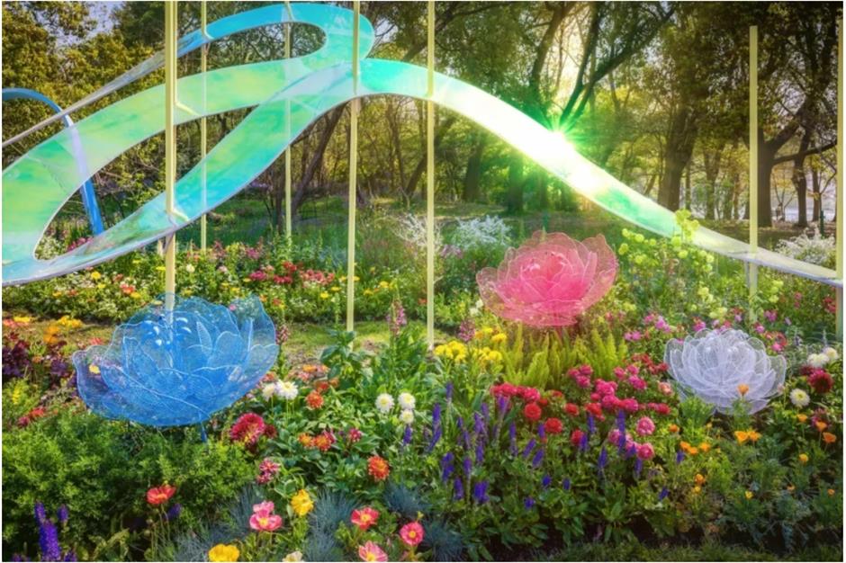 踏青赏花正当时!上海各区春日花事卷起来了