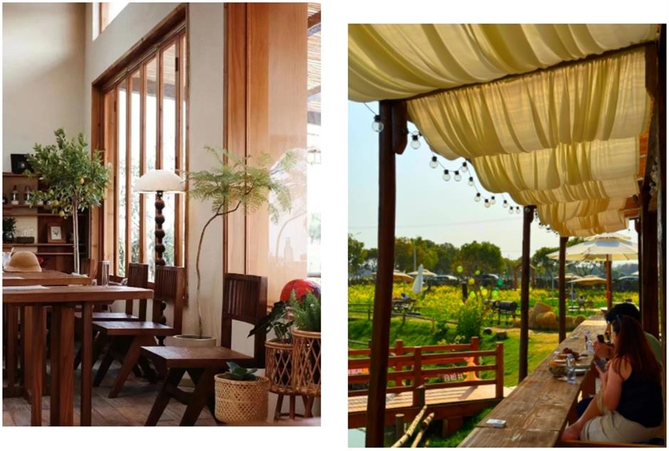 上海這個春日限定秘境藏不住了!坐在花海裡品茶、喝咖啡